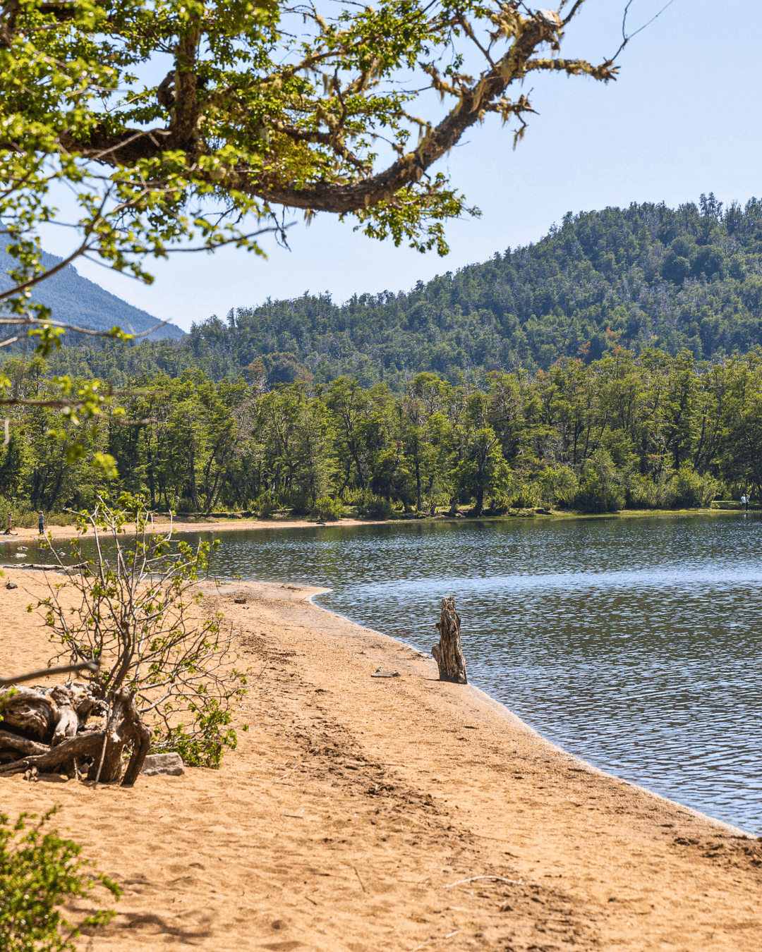 Cuales son los 7 lagos bariloche argentina