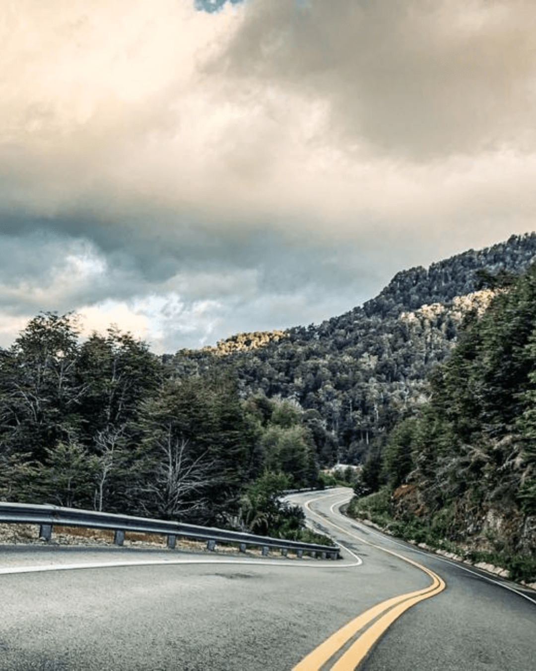 Excursion de los 7 lagos Bariloche Precio