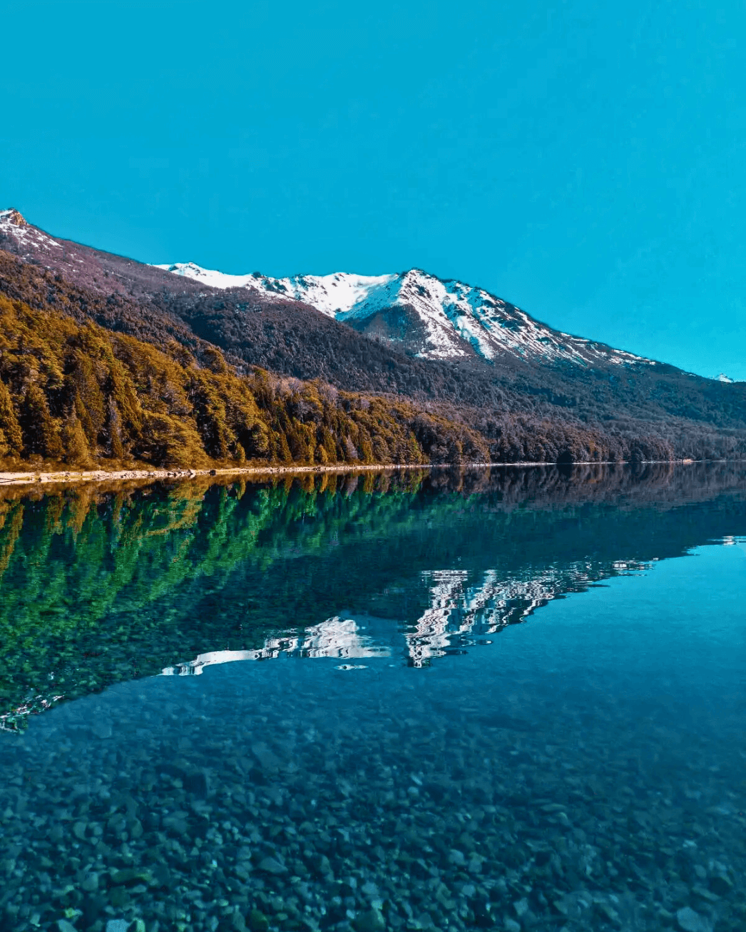 Excursión Circuito Grande Bariloche
