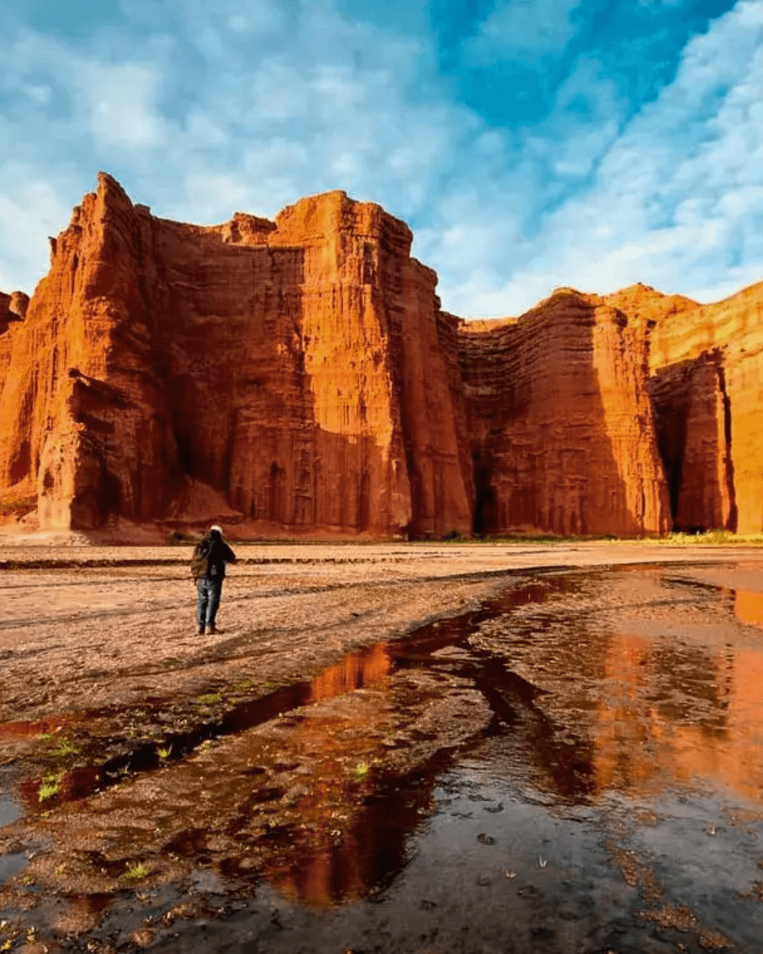 Excursión a Cafayate y Quebrada de las Conchas Salta